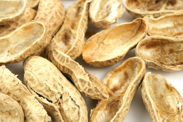 empty shells