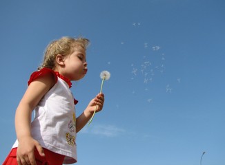 Girl blowing a seedy dandelion