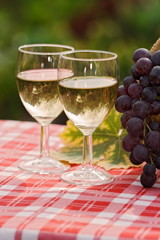 Wine glasses