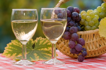 Wine and grape