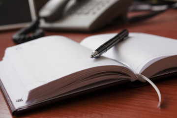 Pen and diary