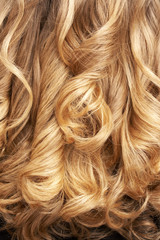 close-up of curly blond hair