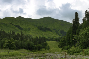 summer landscape with green trees on hills