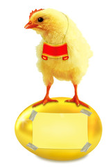Chicken and gold egg. Sticker.Vertical