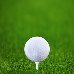 Golf-bal and green golf course Square