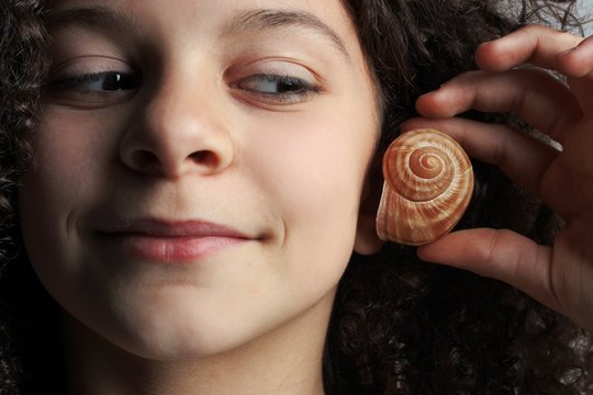 shell