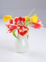 Tulips in vase