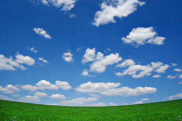 Fototapeta premium field