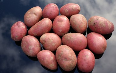 Close-up of Rooster potatoes