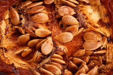 Oven baked pumpkin with seeds