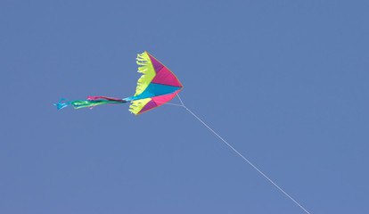 kite in sky