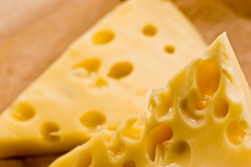 piece of cheese