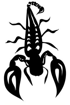 Scorpion Silohette - Isolated On White