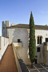 Castle of Alvito
