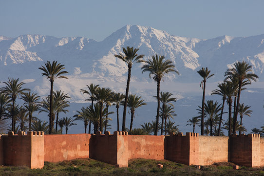 neige, palmiers et ramparts.