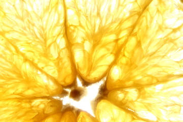 Sliced orange close up