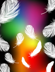 Obraz premium Rainbow color feather background