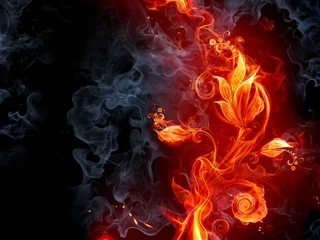 Abwaschbare Fototapete Flamme Feurige Blume