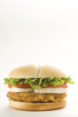 crisp chicken burger with tomato onion cheese lettuce