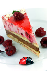 Himbeer-Sahne-Nougat Gourmet Torte
