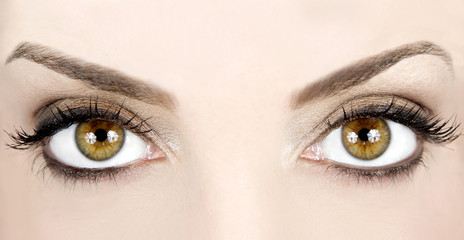 Beautiful eyes