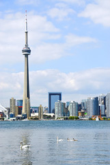 Toronto skyline © Elenathewise