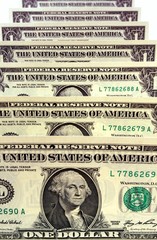 Dollar Bills Standing Up