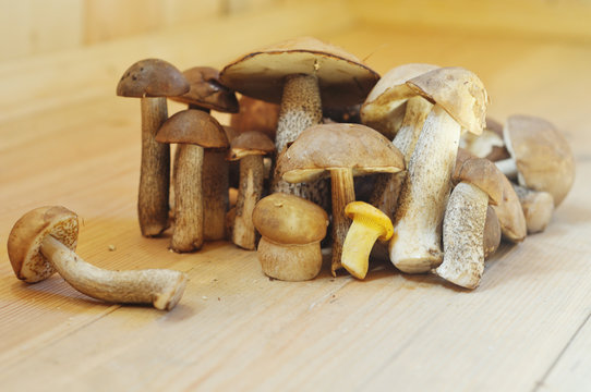 fresh mushrooms standing on a wooden floor