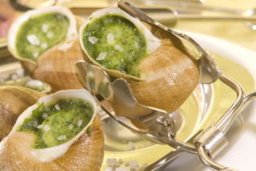 escargot02