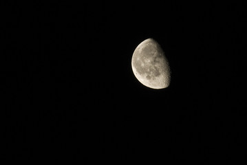 Luna © Rob