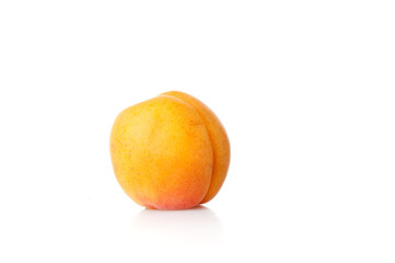 Apricot