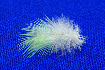 white feather