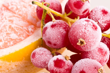fresh frozen fruit