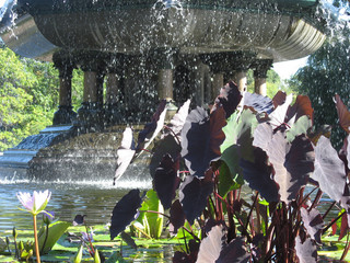 fountain in Cental Park