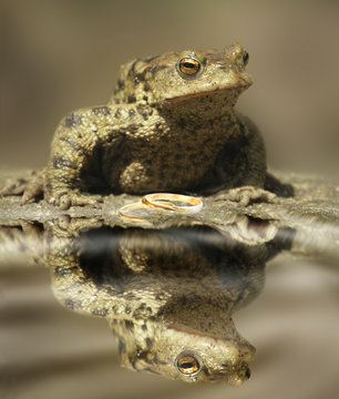 ...wartet auf Prinzessin...