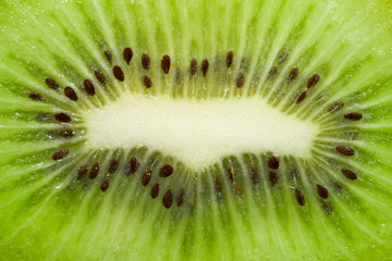 kiwi texture