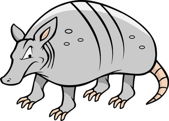 armadillo