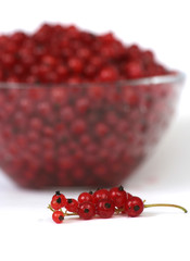 Tasty red berries of a currant on a white background