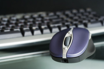 Wireless computer mouse.