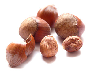 Haselnüsse