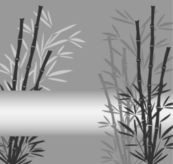 Fototapeta na wymiar Bambus grau