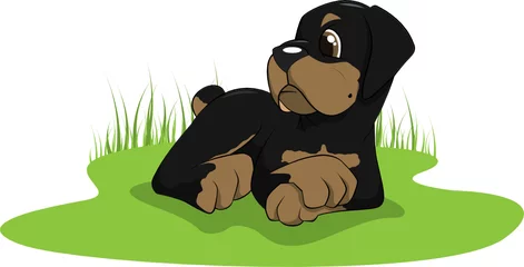 Fotobehang vector cartoon van rottweiler puppy © rebecca brookes