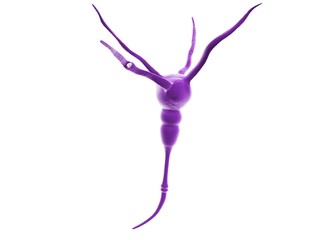 Neuron Cell