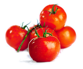 tomatoes