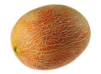 Melon fruit
