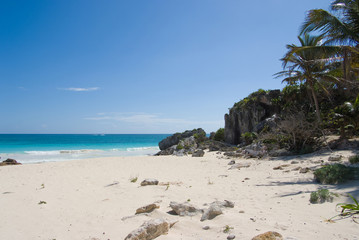 Exotic secluded cove