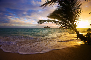 Naklejka premium wschód słońca na plaży lanikai na Hawajach