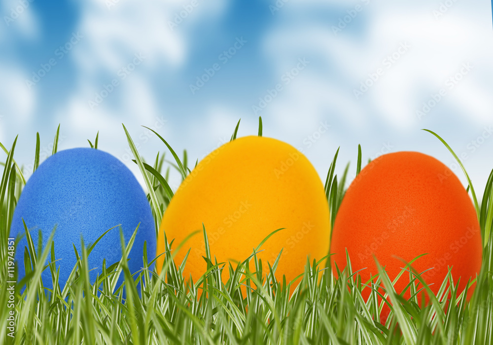 Poster Easter eggs in spring grass