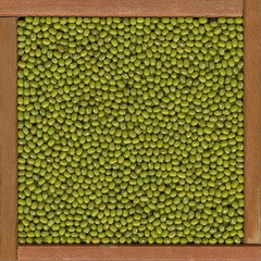 mung beans background