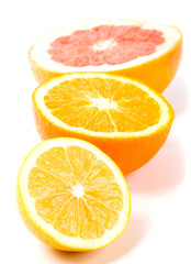 lemon, orange and grapefruit
